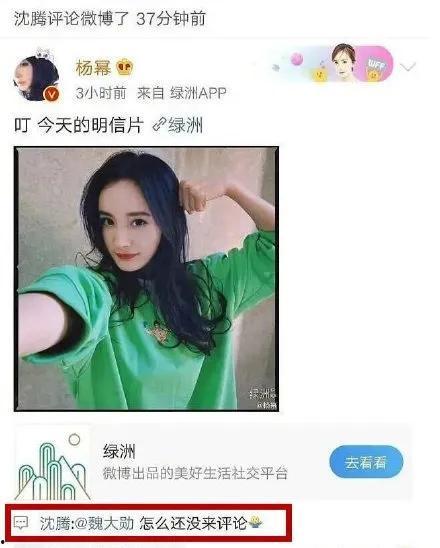 娱乐圈吃瓜评论,揭秘明星背后的故事与真相